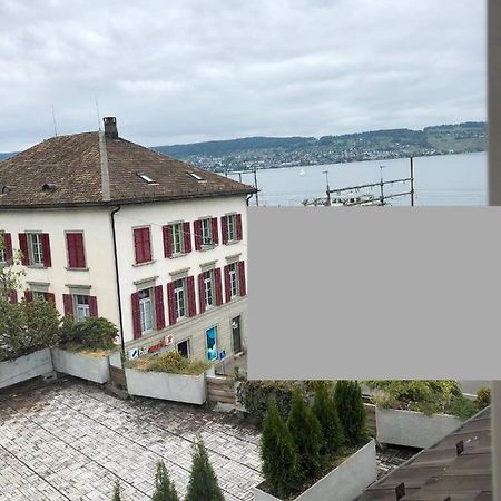 Wadenswil 3 Zimmer Wohnung Genau Beim Zurichsee Екстериор снимка