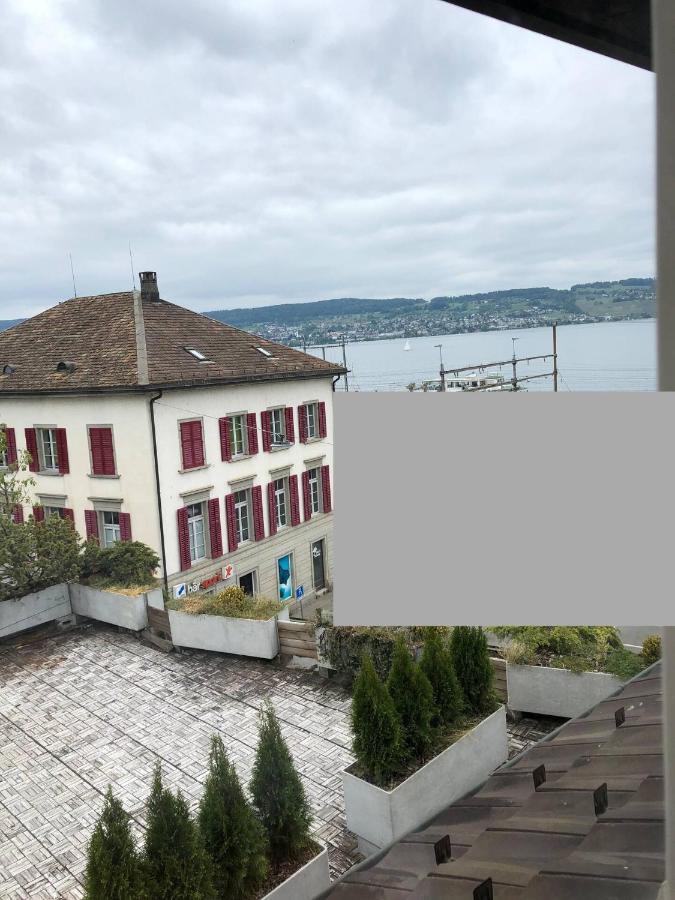 Wadenswil 3 Zimmer Wohnung Genau Beim Zurichsee Екстериор снимка