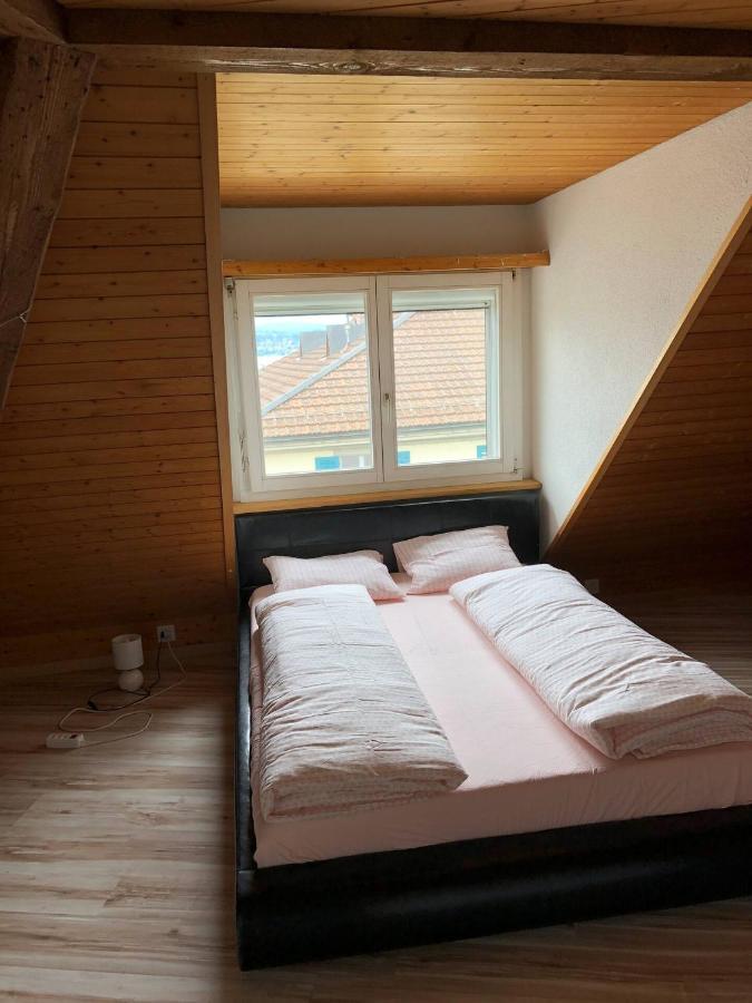 Wadenswil 3 Zimmer Wohnung Genau Beim Zurichsee Екстериор снимка